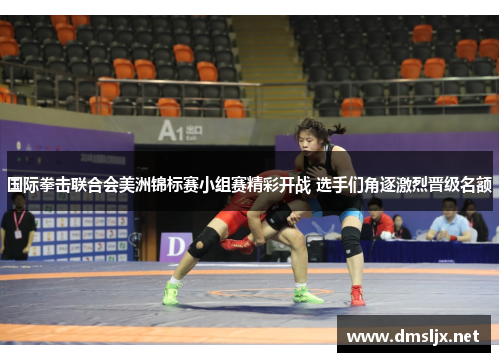 国际拳击联合会美洲锦标赛小组赛精彩开战 选手们角逐激烈晋级名额