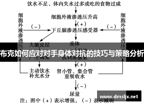 布克如何应对对手身体对抗的技巧与策略分析