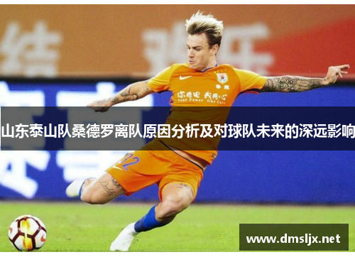 山东泰山队桑德罗离队原因分析及对球队未来的深远影响