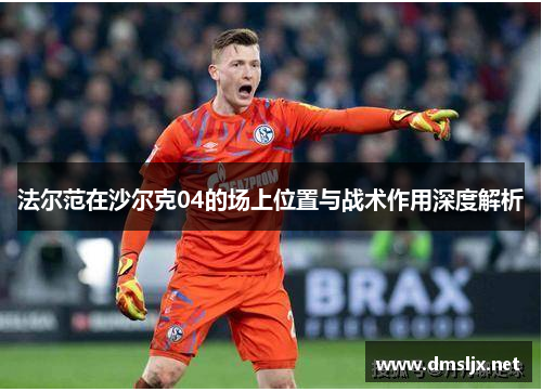 法尔范在沙尔克04的场上位置与战术作用深度解析