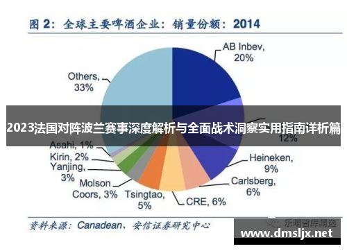 2023法国对阵波兰赛事深度解析与全面战术洞察实用指南详析篇
