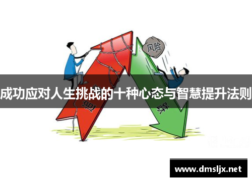 成功应对人生挑战的十种心态与智慧提升法则