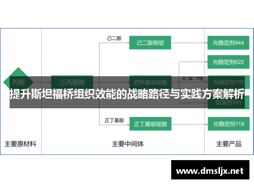 提升斯坦福桥组织效能的战略路径与实践方案解析